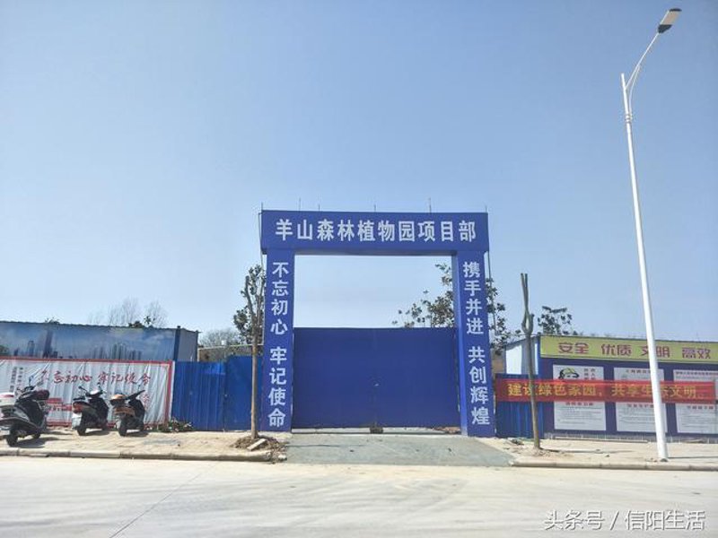 选购园林绿化的那些事儿